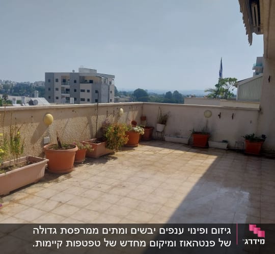 מרפסת עם עציצים ונוף עירוני ברקע